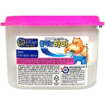 물먹는하마 옷장용, 300g, 21개