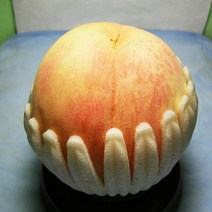 복숭아나무 묘목 백도복숭아 경봉 R3cm 결실주(분) 1개