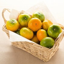[초록자연] 노지 새코미 감귤 5kg (로얄과) 조생 밀감, 상세 참조, 상세페이지 참조