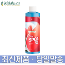 프리스팟 4X 고농축 얼룩 찌든때 제거제, 1개