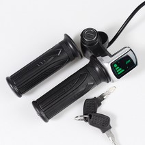 컨트롤러 스로틀 겸용 전동 경량 36V 48V E Bike E-bike Throttle Handle Electric Bicycle Twist With Dis, 02 48V, 한개옵션1