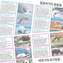 12인 멸종위기 동물 보고서 열쇠고리 만들기 꾸미기 초등과학 관찰 학습 학교 원리 어린이집 유치원