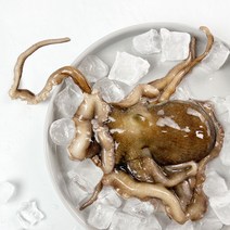 통영 산낙지 돌낙지 국산낙지 생물낙지, 산낙지 500g내외 (중 3마리)