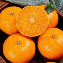 제주 천혜향 가정용 2.5kg 9-13과, 없음, 단품