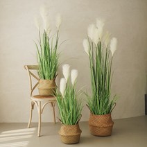 플라우스302 핑크뮬리 팜파스 조화 갈대 화분 조화 3colors, 155cm, 크림