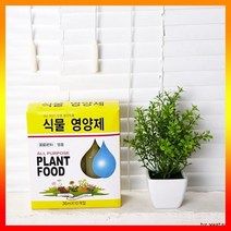 스투키분갈이 화분 분재 식물영양제 배양토 식물 영양제 마당 텃밭 스투키 금천수 분갈이 상토, 상세페이지 참조