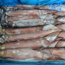 e수산물 냉동오징어 8kg 한박스 25마리 업소 식당용 오징어 볶음 무침 식자재 도매 오징어 중화요리 짬뽕용, 1개