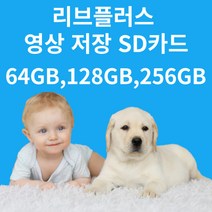 왕눈이캠 눈사람캠 CCTV SD카드, 256GB