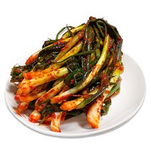 뜰아래김치 국산 파김치 3kg 5kg / 2월 한정 할인행사, 1개