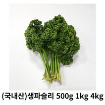파슬리 500g 1kg 4kg 국내산 산지직송 파세리 생파슬리 생파세리 향나물 오일만주스 레몬 이탈리안 채소 조미료 파슬리가루, 1box
