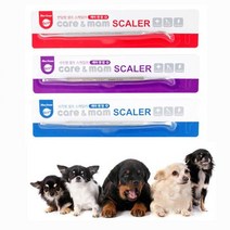 반려 동물 셀프 치석 제거용 스케일러 애견양치 구강, 선택사항_반달형, 상세페이지 참조
