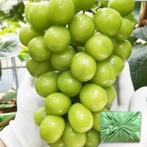[농장직송] 국내산 고당도 샤인머스켓 선물세트 1kg 2kg 씨없는 포도 샤인머스캣 선물세트, 8. 선물용 고당도 샤인머스켓 2kg(2~4수), 1개