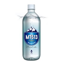 프리미엄 미네랄 워터 바이오규소 생수 MT513 500ml x 20병, 1, 20개
