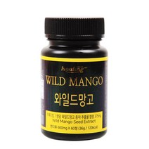 힐링 와일드망고 영양제, 60정, 1개