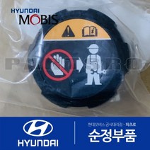 전기차 전용 라디에이터 캡 뚜껑 (25330J2100) 니로 봉고3 쏘울 아이오닉5 코나 포터2