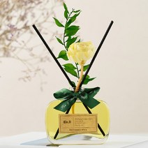 에인디 비염 공기정화 천연 에센셜 아로마 오일 유칼립투스 시그니처 디퓨저, 디퓨저+섬유스틱5개