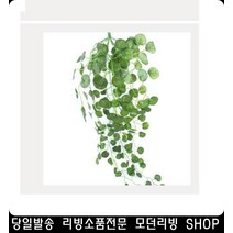 조화넝쿨 식물인테리어 베란다장식 넝쿨인테리어 아파트현관 예쁜인테리어소품