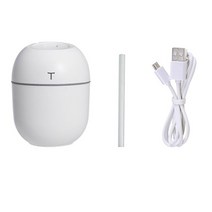 공기청정기미니 초음파 가습기 250ML 로맨틱 라이트 USB 에센셜 오일 디퓨저 자동차 청정기 아로마, 01 WHITE