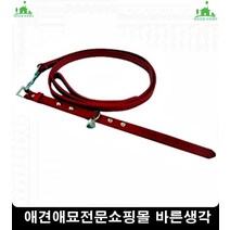 살랑거리는장난감좋아하는고양이흔들리는 아기고양이키우기 고양이용품, 1개, 1개