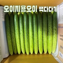 오이지용오이 백다다기 국내산오이 신선한 못난이 백오이