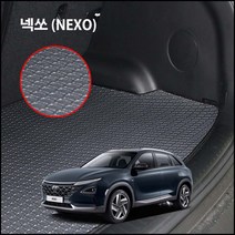 넥쏘 (2018년~) 카본 트렁크매트 고무매트 바닥매트 카매트 선물용, 현대