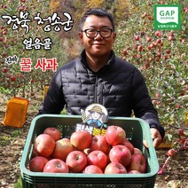 구매평 좋은 시나노스위트10kg 추천순위 TOP 8 소개