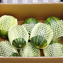 멜론제철 과일멜론 파파야메론 2kg 3kg 5kg, 파파야메론_5kg