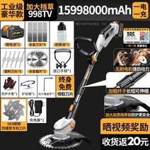 전정기 무선 해지 분리형 나뭇가지 전동 트리머 기본 정원 양날, 06, 1개