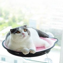 강력흡착 윈도우해먹 극세사 캣 해먹, 브라운