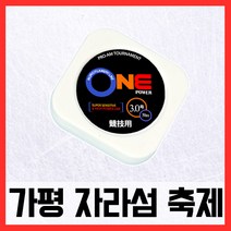 가평송어축제 원파워라인 송어 낚시줄, 3.0호