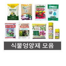 식물 영양제 골드아이언 다육이이야기 바이오가든(50gX2) 승진고형유박 유기질비료 친환경흙심이 그린썬 엠플 주사기 생생코트, 친환경흙심이(500g)