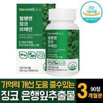 징코빌로바 은행잎추출물 기억력 손발저림 혈행개선혈액순환제 산화아연 판토텐산 영양제 추천 90정 1개