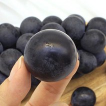 충북 영동 고당도 거봉 샤인머스켓 특품 500g 1kg 2kg 당일수확 산지직송, 국내산 고당도 거봉포도 500g (1송이), 1개