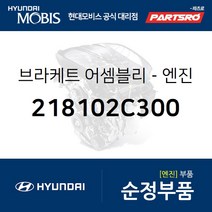 아반떼XD/투스카니 엔진미미(엔진 마운팅 브라켓) (218102C300)