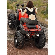 사륜 4륜 오토바이 125cc 버기카 짐운반 바이크, 리틀 불 패키지 5