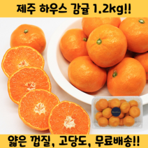 고당도 하우스 감귤, 1.2kg