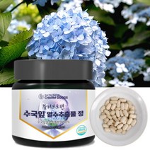 프리미엄 수국잎 열수 추출물 정 식약처 인정 48000mg 고함량 100% 국내산 수국잎 추출 분말 산수국잎 하이드란제놀, 1개, 120정 x 1통 (2개월분)