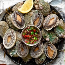 삼삼 완도 전복1kg(15~17미내외), 1개