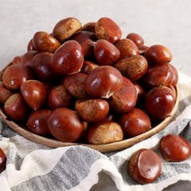 22년 햇밤 부여 알밤 4kg 대, 단품