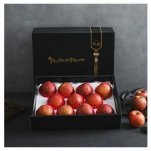 자연맛남/(맛나미) 명품 사과 선물세트 4kg (12과내)/롯데백화점