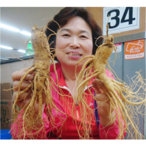 금산수삼시장 인삼즙 담금주 세척삼 오쿠홍삼용 난발삼 파지 효능 500g, 3-1. [추천+세척안함] 7~8뿌리 500g