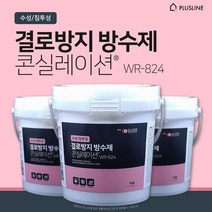 결로방지 방수제 콘실레이션 WR-824 곰팡이방지 곰팡이제거 가정용 1L, 콘실레이션 1+1(총 2개)
