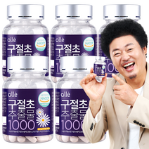 알레 구절초 추출물 1000 90정, 5통