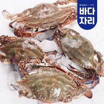 국산 서해 제철 급냉 활꽃게 600g 절단꽃게 500g, 국산 절단 꽃게 500g내외