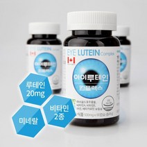 비문증에 좋은 영양제 날파리증 야맹증, 12개월분