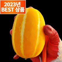 농수산특별시 산지직송 성주 고당도 꿀 참외, 10kg 실속형 참외 (못난이+가정용 혼합), 1박스