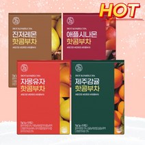 힐스랩 핫콤부 4종 진저레몬 애플시나몬 자몽유자 제주감귤 핫콤부차 콤부티 5g x 15개입, 힐스랩보틀