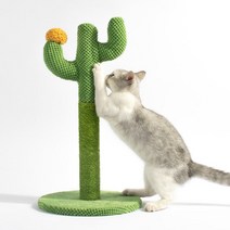 디에스펫 선인장 스크래쳐, 소