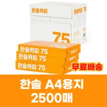 한솔카피 A4 75g 500매X5권-Z/복사용지/A4용지/한박스/2500매/복사지/사무용지, 단품