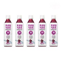 단백질음료 프로틴기프트 포도맛 500ml 5개, 500ml x 5개, 1set